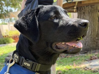 Hope, 6 mois déjà !